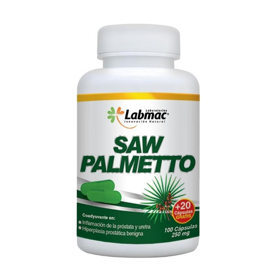 saw palmetto